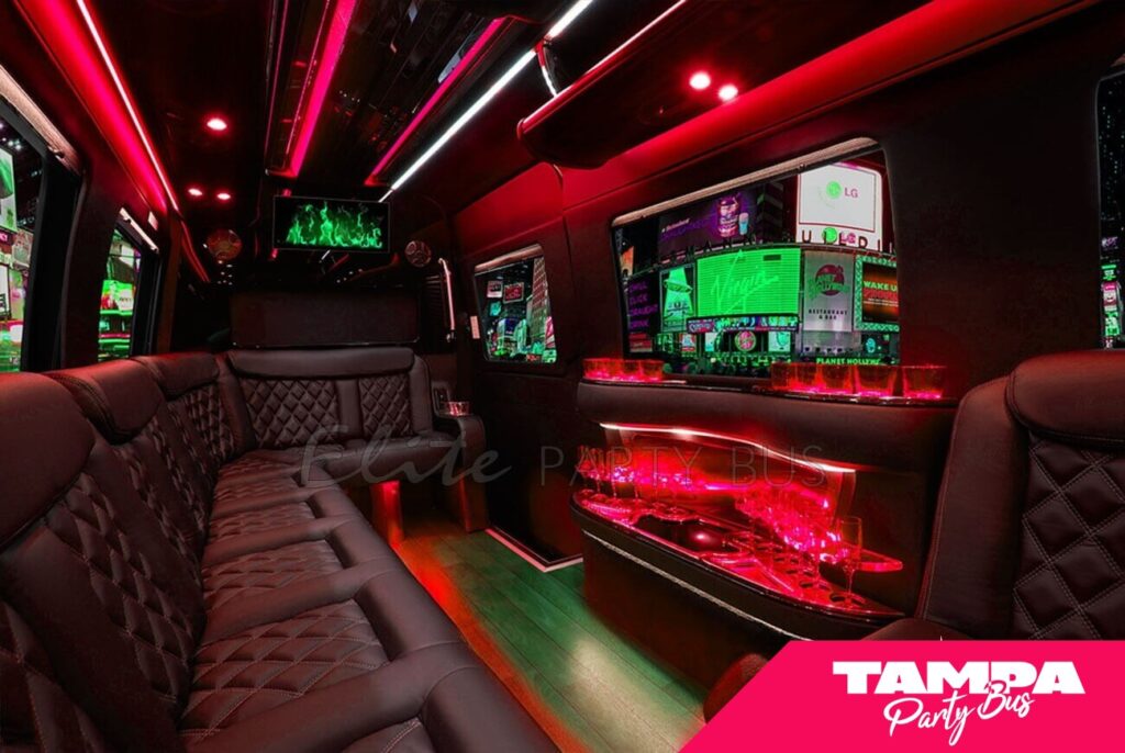 EXECUTIVE MINI PARTY BUS 16 Passengers